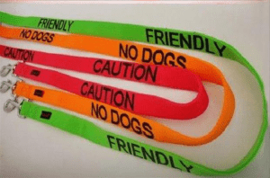 Dog Owners Must Have This