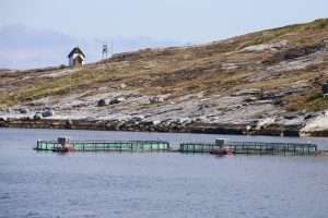 Salmon fishing in Norway
