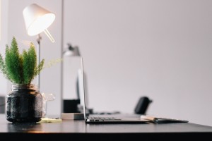 desk lamp, plant and laptop