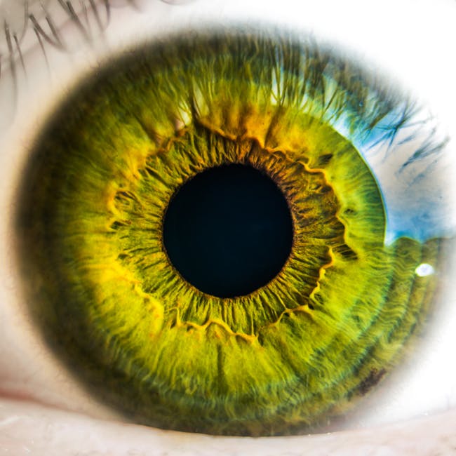 Choosing the Right Contact Lenses-Extended wear contacts