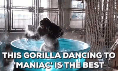 gorilla dancing in kids pool