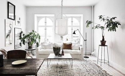 Affordable Home Design Trends for Millennials