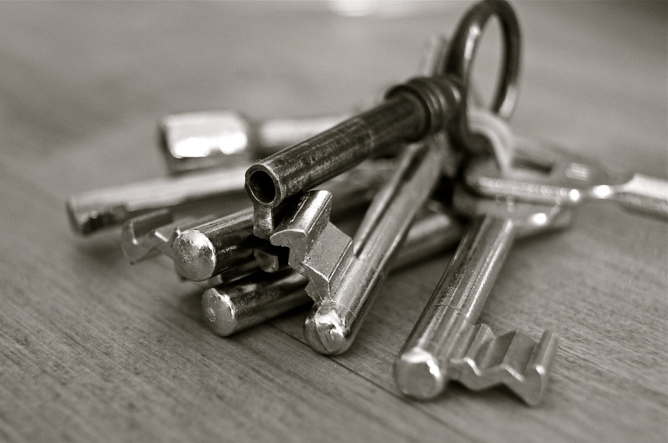 silver keys in a keyring
