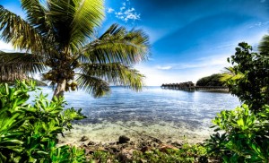 Fiji island with palm trees surrounded by water