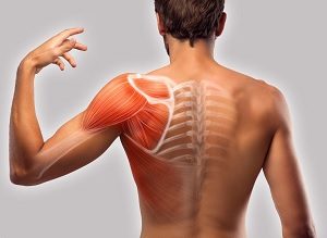 man's back with redness of arthritis