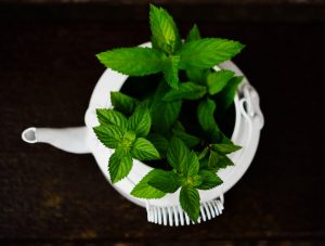 Exploring seven unusual forms of pain relief- Peppermint