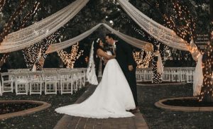 wedding, bride, reception