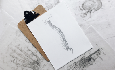 sketch of vertebrae, spine
