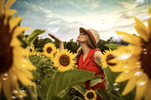 lady among sunflowers in a sunny day