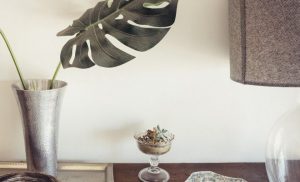 Plant in a silver vase, home decor