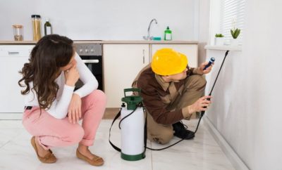 pest control spraying a home
