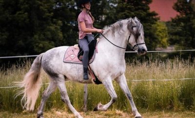 Riding-Horseback-Lessons