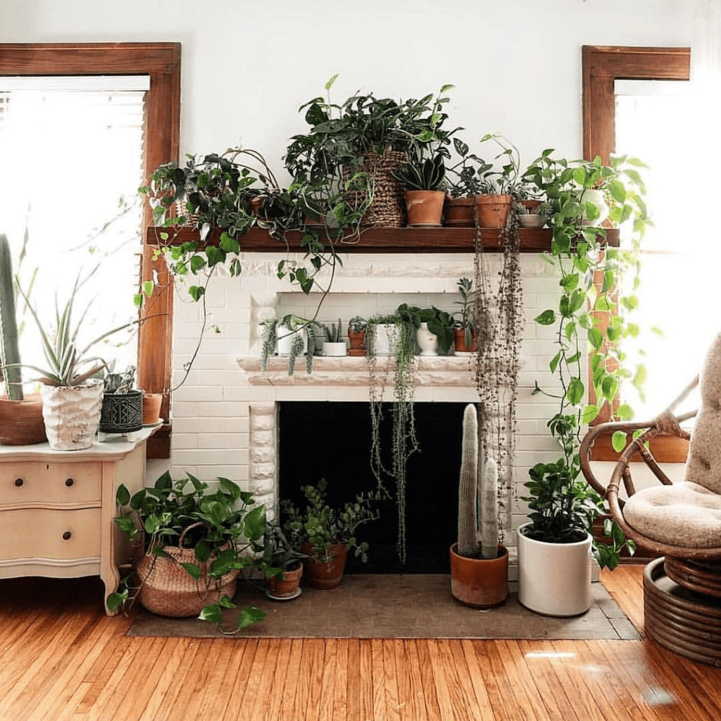 How to create the perfect interior with house plants- plants as decorative item