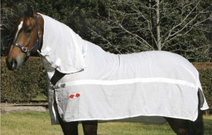 Horse wearing a white horse rug