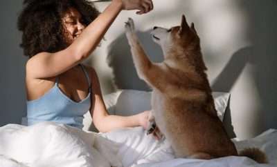 Woman playing with her dog in bed