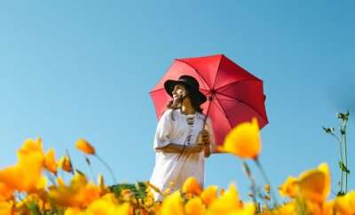 Woman with a red umbrella in a field of sunflowers